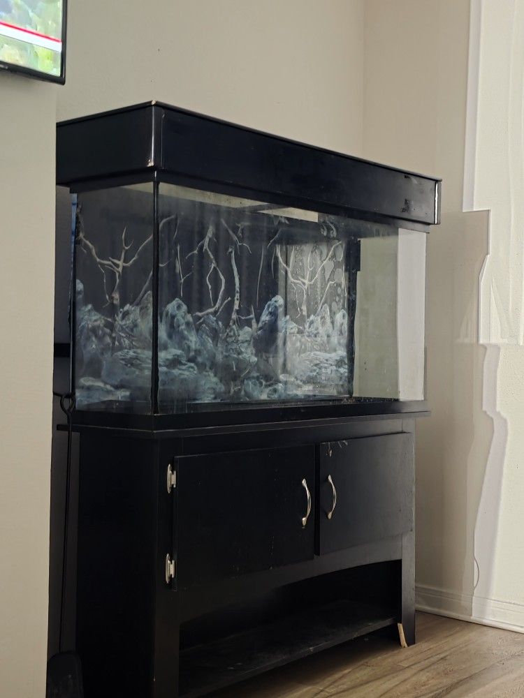 Sixty gallon fish tank with canopy two hundred forty gallon filter and stan black in color perfect condition