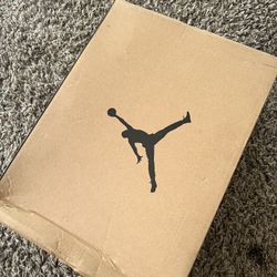 Air Jordan 12 Blue 