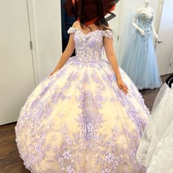 Quinceañera Dress ( New Never Been Worn)
