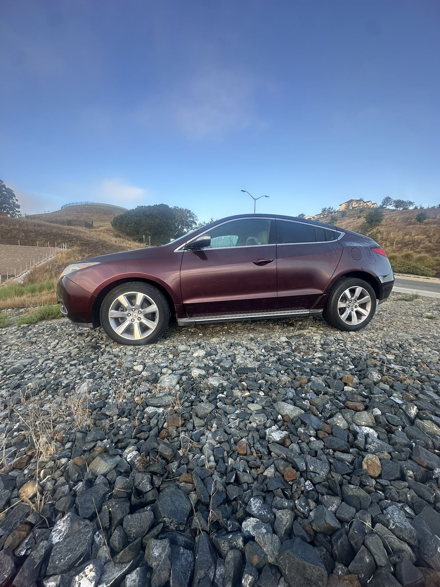 2010 Acura ZDX