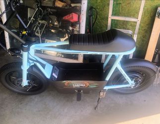 E bike