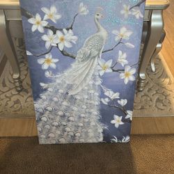 White Peacock Canvas