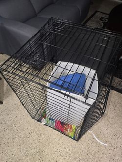 Dog crate plus items