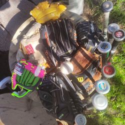 Baseball Gloves For The Whole Family 7 Total