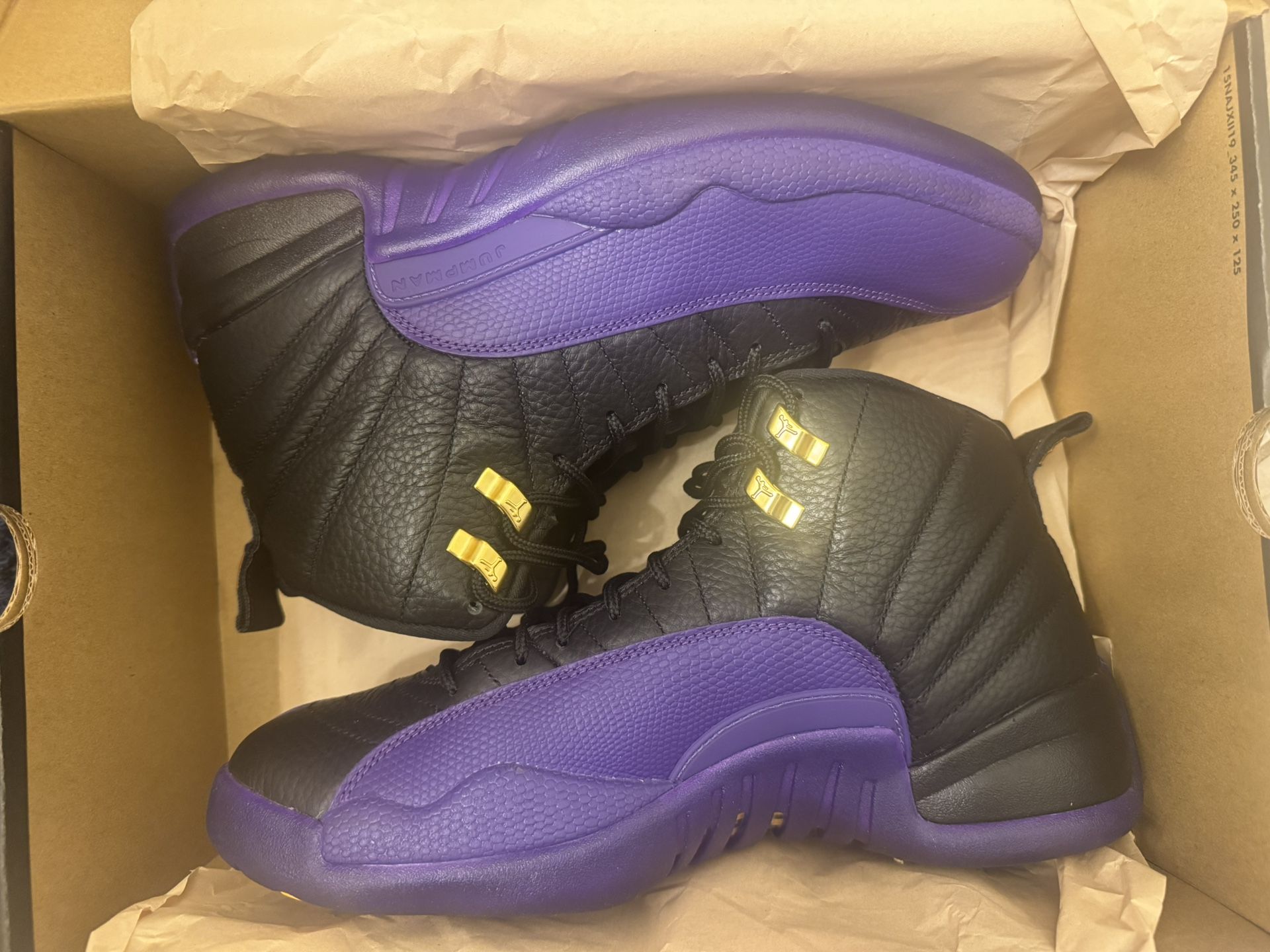 Air Jordan Retro 12s (Excellent Condition)