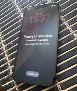 iPhone 13 password locked