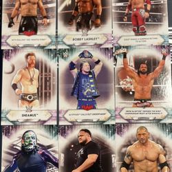 Wwe Superstar Trading Card Lot