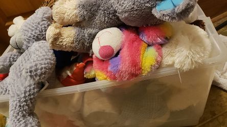 Lots of stuffed animals