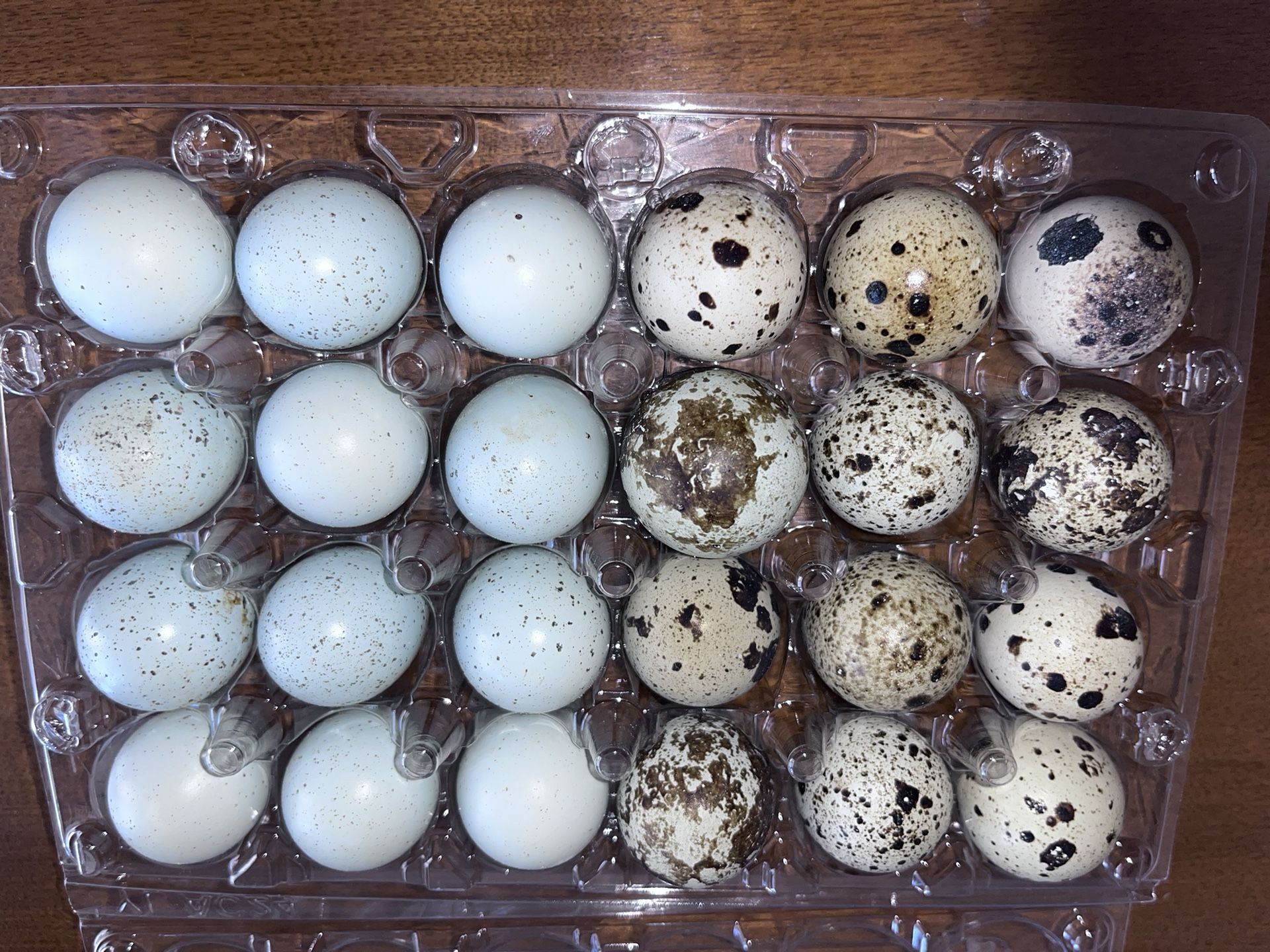 Delicious & Healthy Quail Eggs
