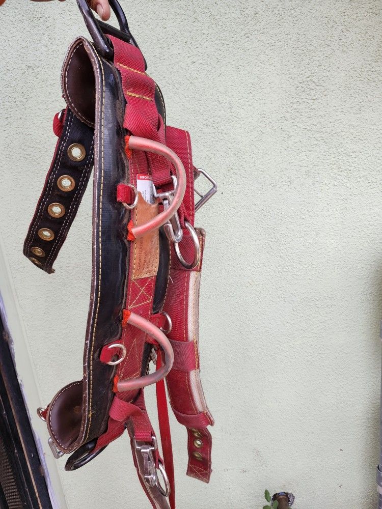 Climbing  Harness