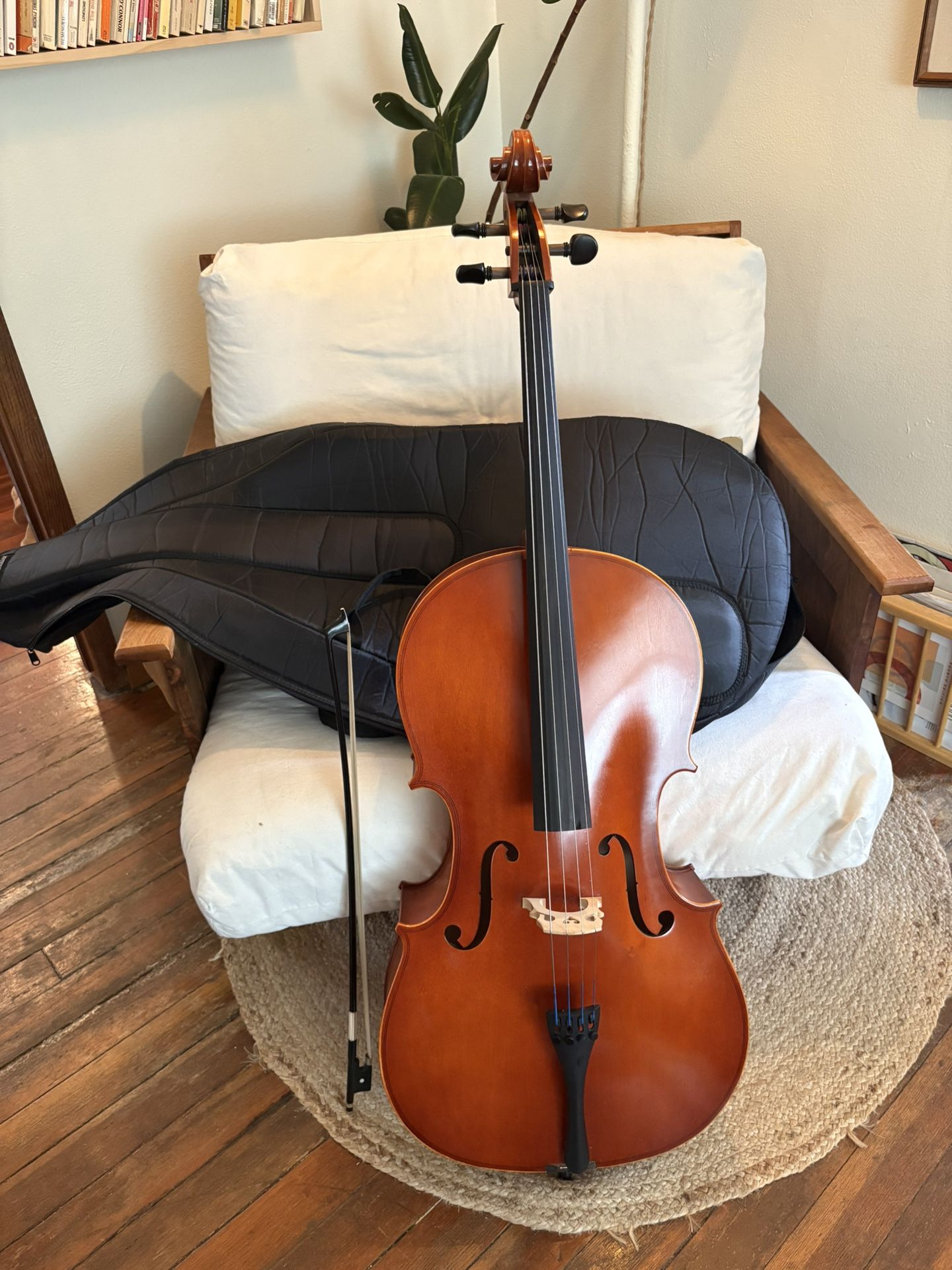 Strobel MC-80 4/4 Size Cello 2022