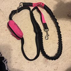Dog Leash 