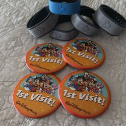 Free Disney Parks Pin And Bracelet