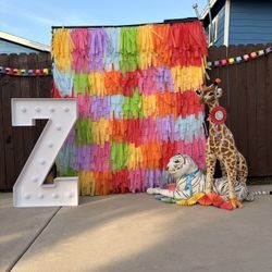 Fringe Backdrop Wall