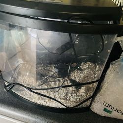 5 Gallon Starter Tank With Everything Included! 