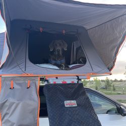 Roof Top Tent Dog Ramp