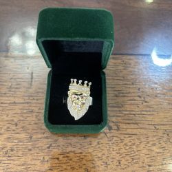 Lion 🦁 Ring 14K Gold 