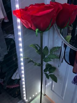 Giant Fake Rose