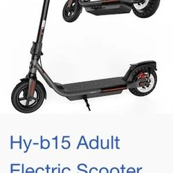 E Scooter Hyb15