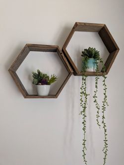 Set of  6 Hexagon Wood Wall Shelves