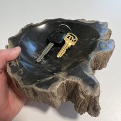 Petrified Wood Bowl