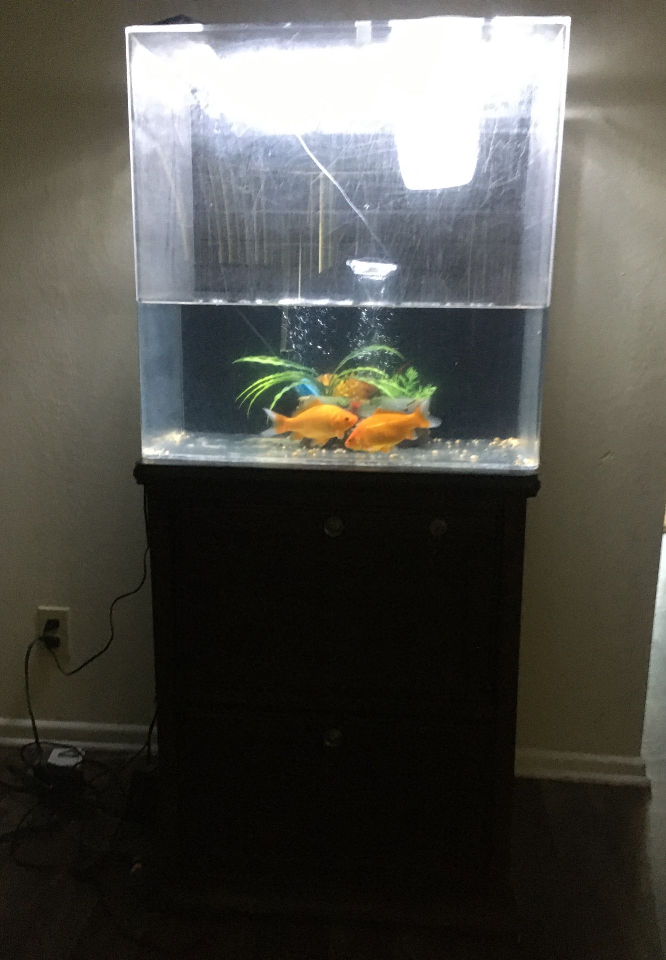 40 gallon acrylic fish tank. With stand.