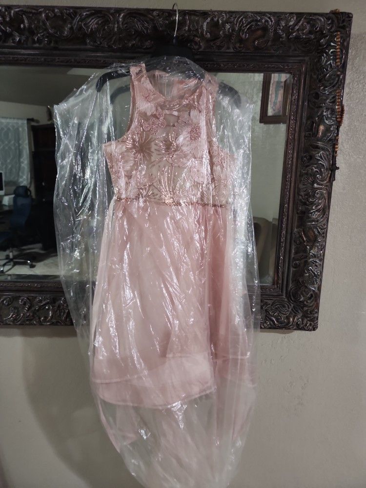 Rare Editions Blush Dress