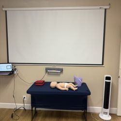 100 Inch Projector Screen 