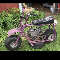 Predator 212 Mini Bike