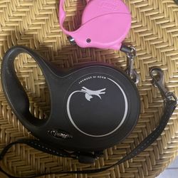 Flexi Dog Leashes