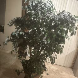 Artificial Indoor Tree