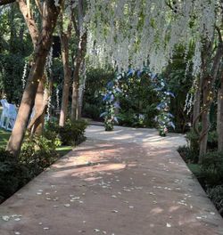 Floral arch for sale
