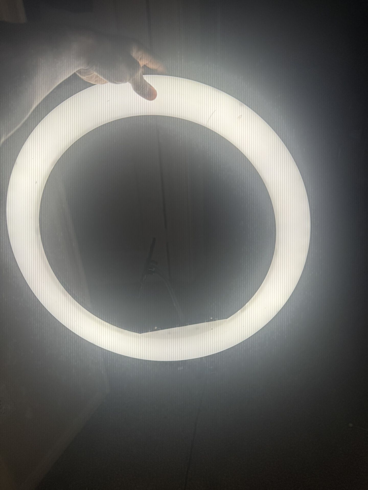 Ring Light 26” In With Stand