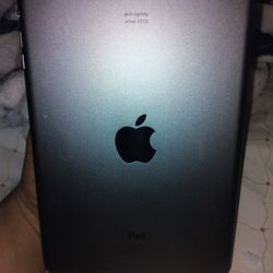 iPad Mini 2 