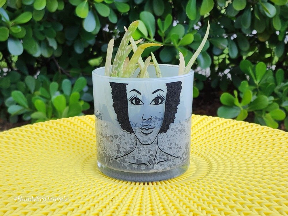 Desk Plants $12
