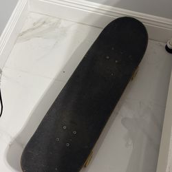 Cruiser Skateboard