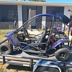 Vitacci T-Rex 150Cc Go Kart, 4 Stroke, Air Cooled, Single Cylinder, Electric