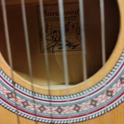 Nylon String Guitar