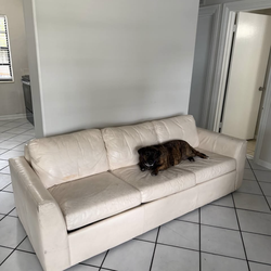 Sofa bed couch