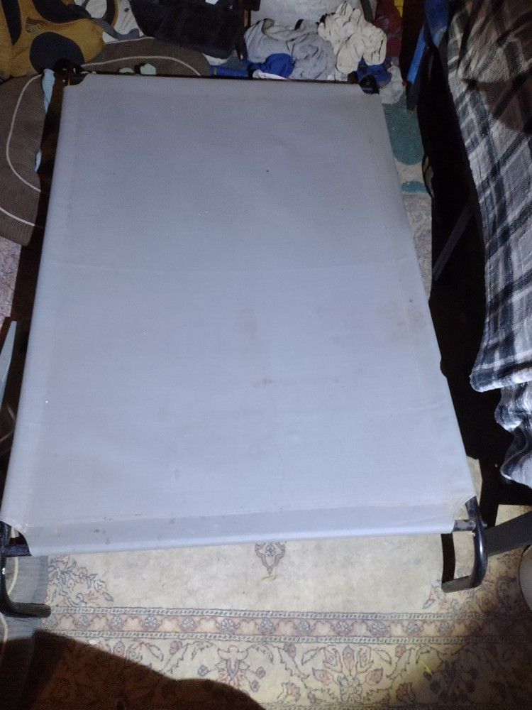 Elevated Dog Bed Xl