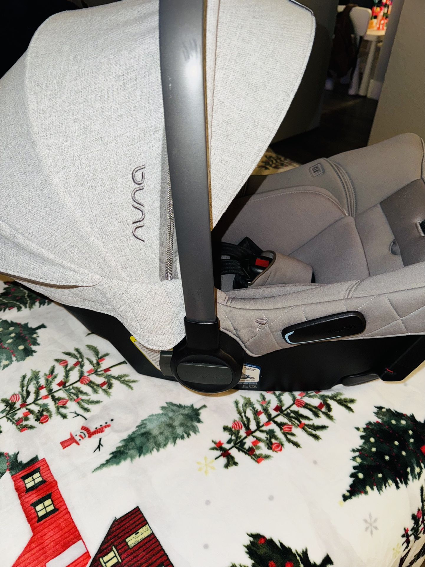 Nuna Infant Carseat 