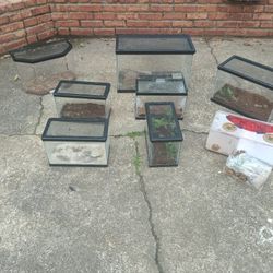 Lots Of Aquariums For Sale 