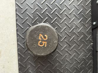 25lb Dumbbell
