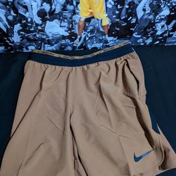 Brown Nike Shorts