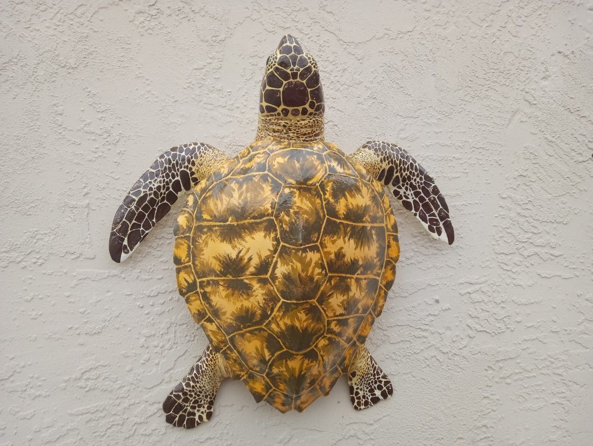 Fiberglass Replica Sea Turtle Mount 