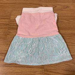 Small Flannel And Lace Dog Dress