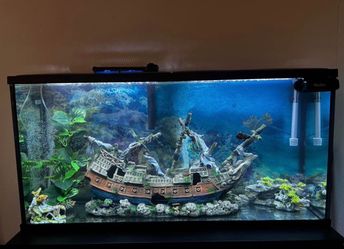 Aqueon Aquarium with Black Wooden Stand and Decor