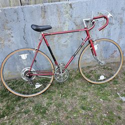(Men's)  Old School Bike  (Looking For Best Offer)