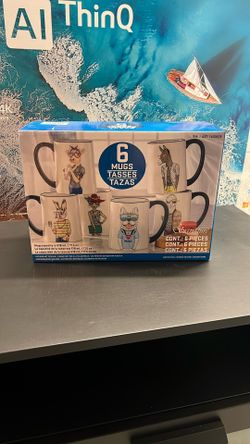 6pc Mug Set