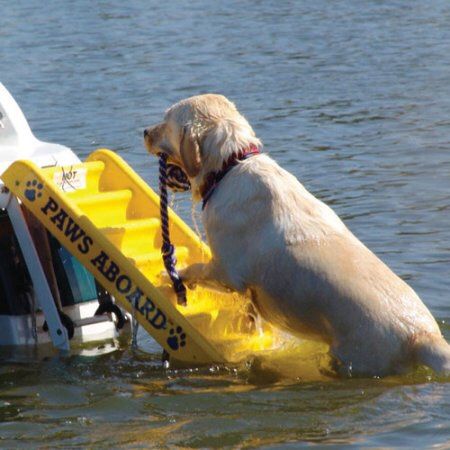 REDUCED - Paws Aboard Dog Ladder - Boat - Dock - Swimming Pool